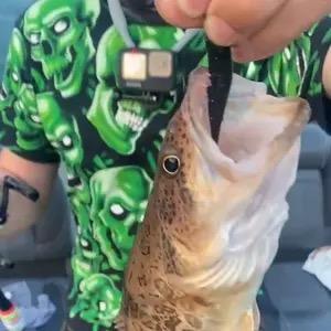 得鹿🦌.梦鱼🐟（升哥）