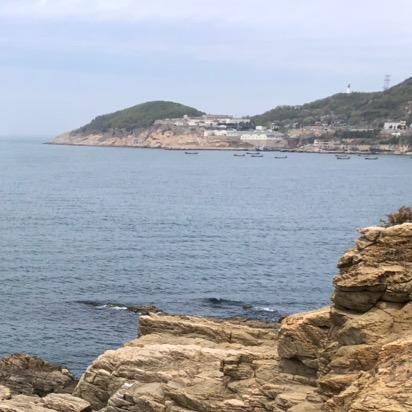 四大Star🌟抖你的音