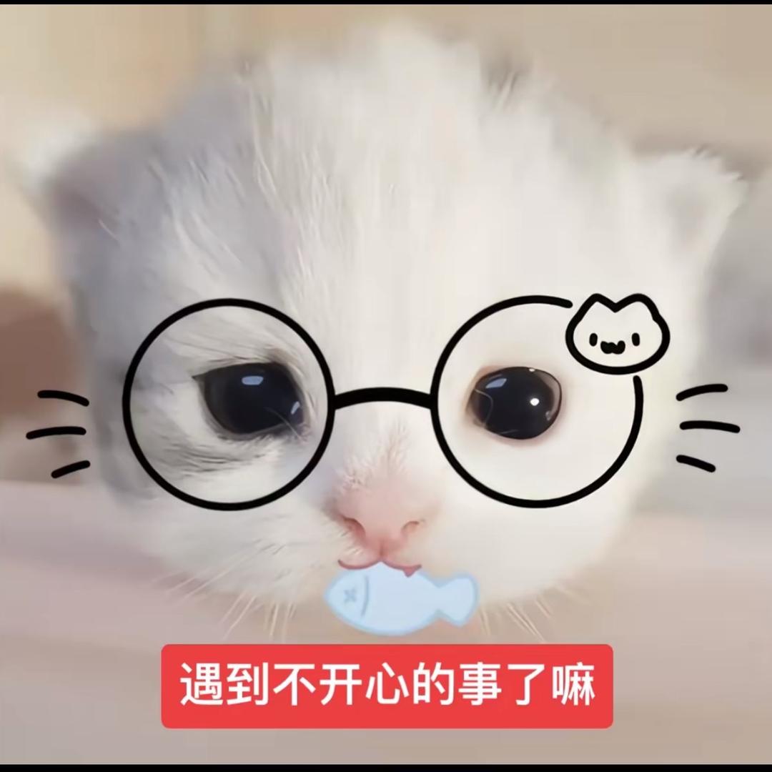 灰灰电竞 向南（三角洲）