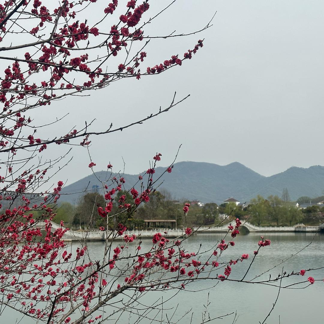 （爱心）开心（爱心)