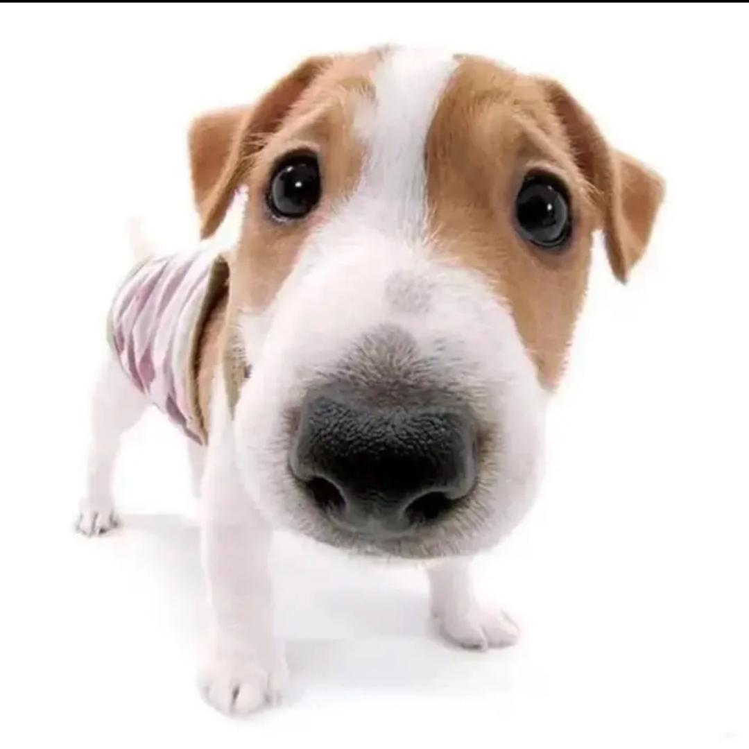 `