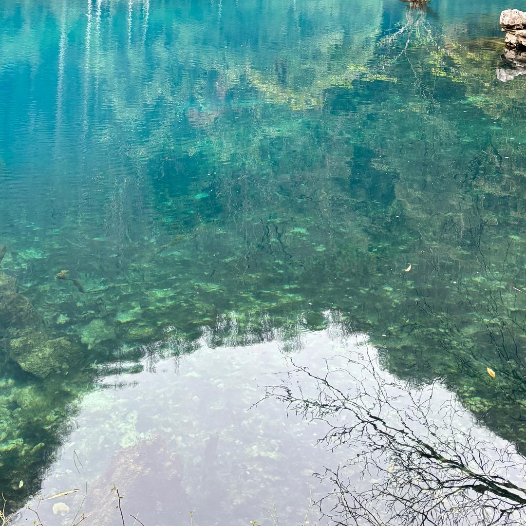 除却巫山不是云