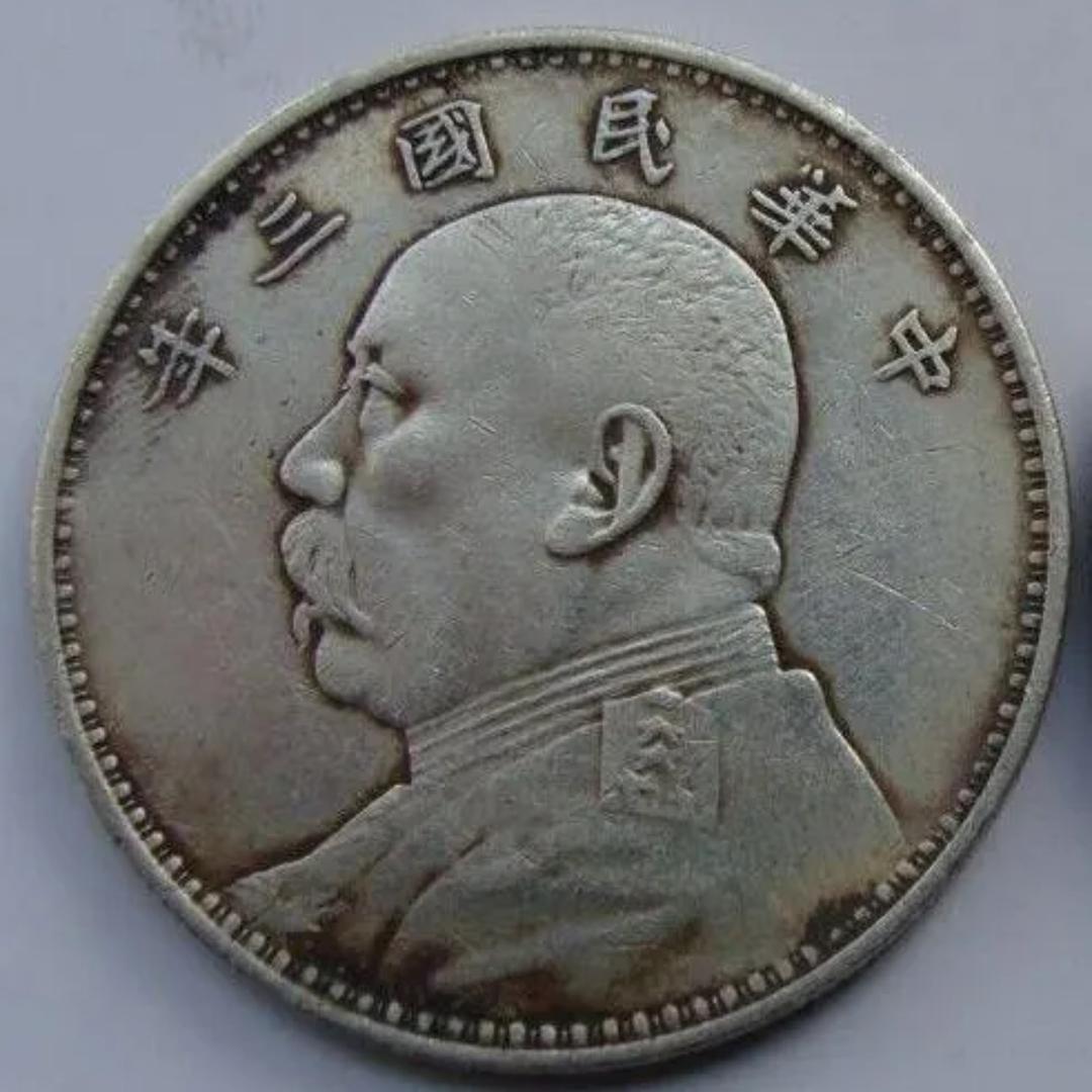 大毛探宝