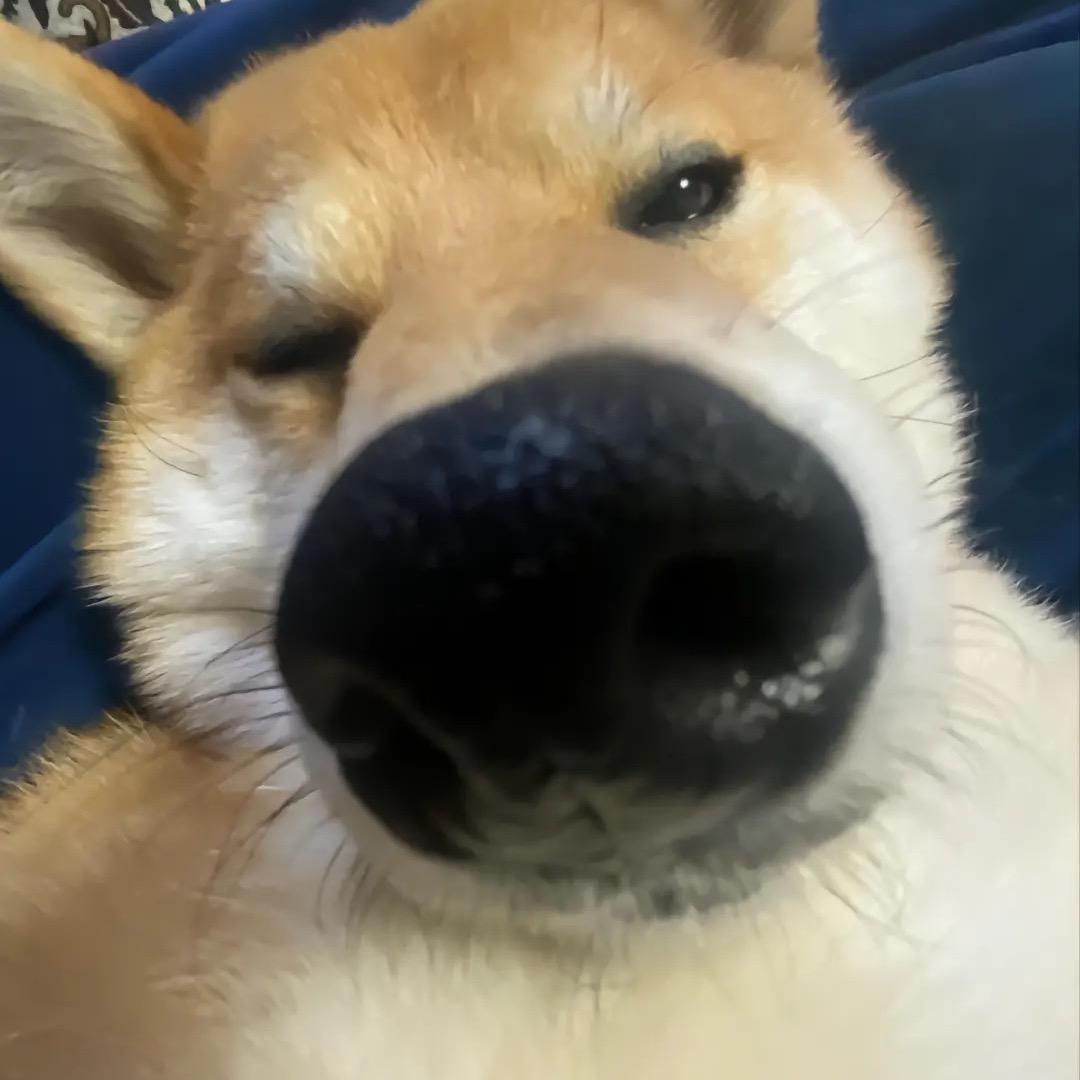 十点半就睡觉