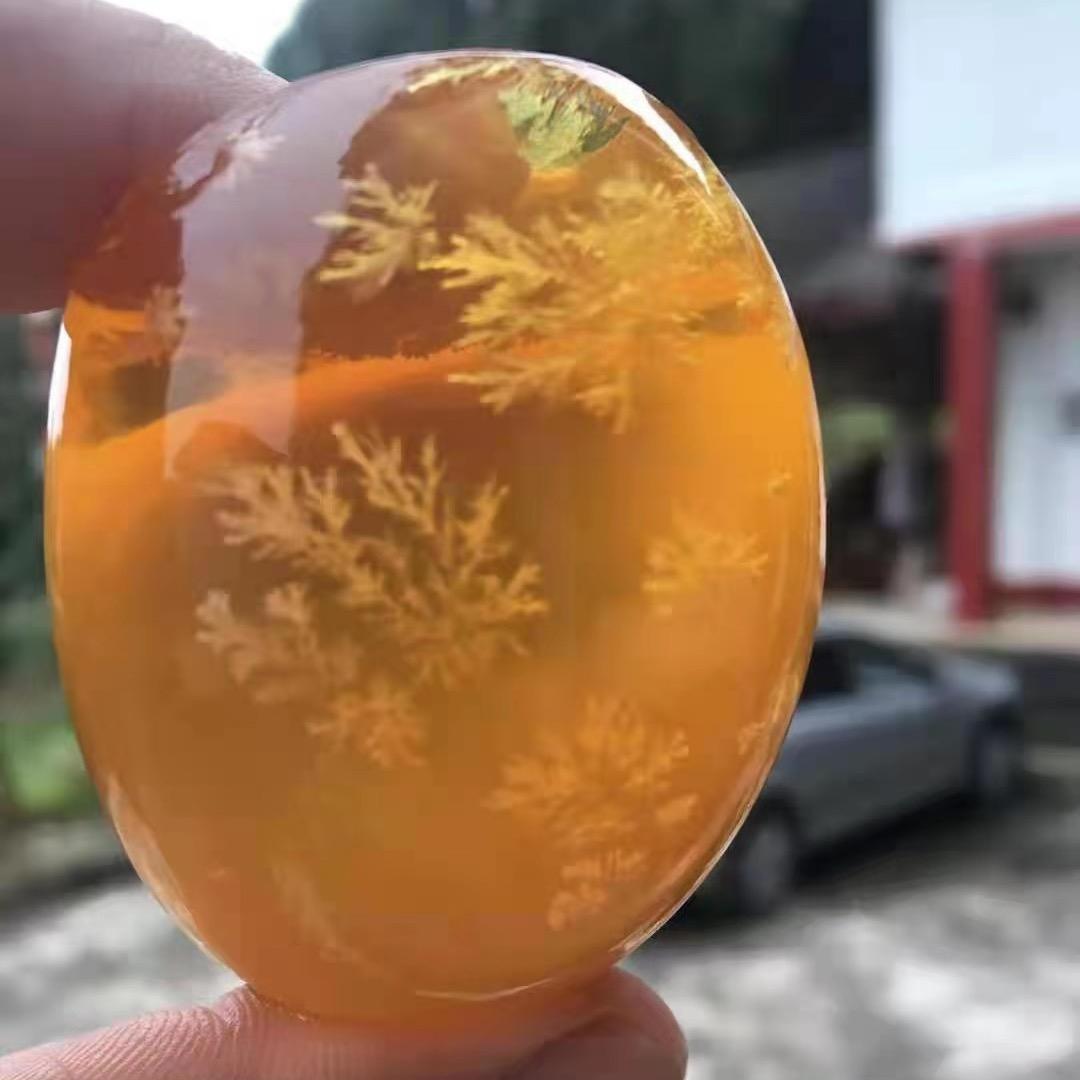 靓仔果鲜