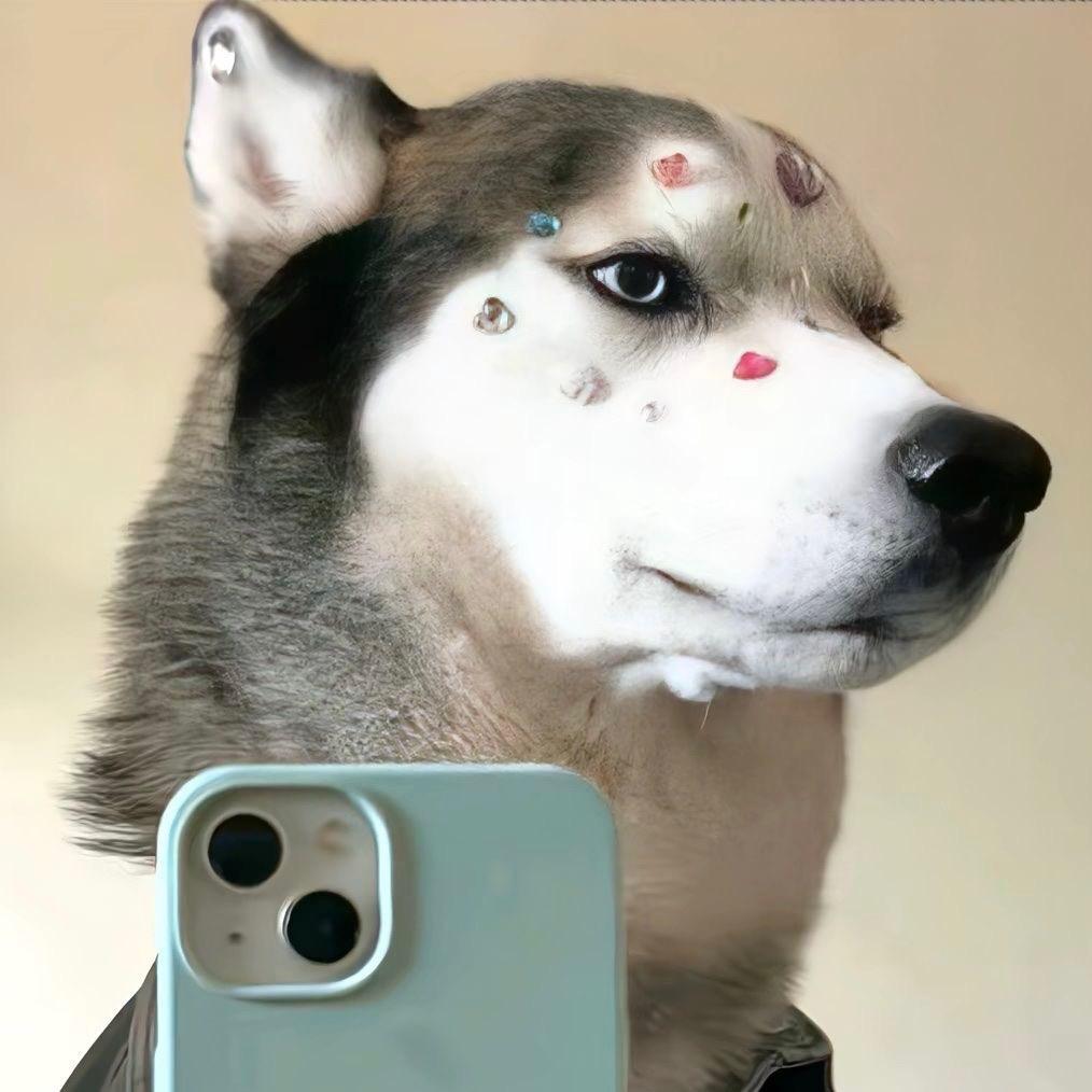 铁锅炖自己
