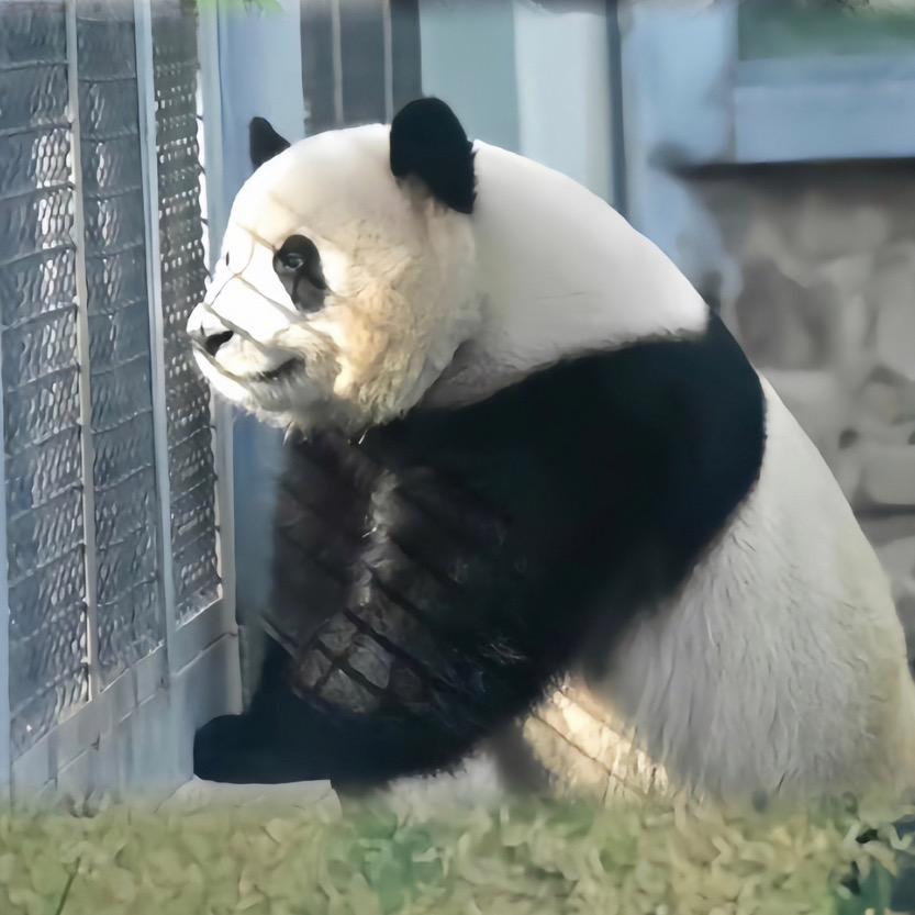 萌兰