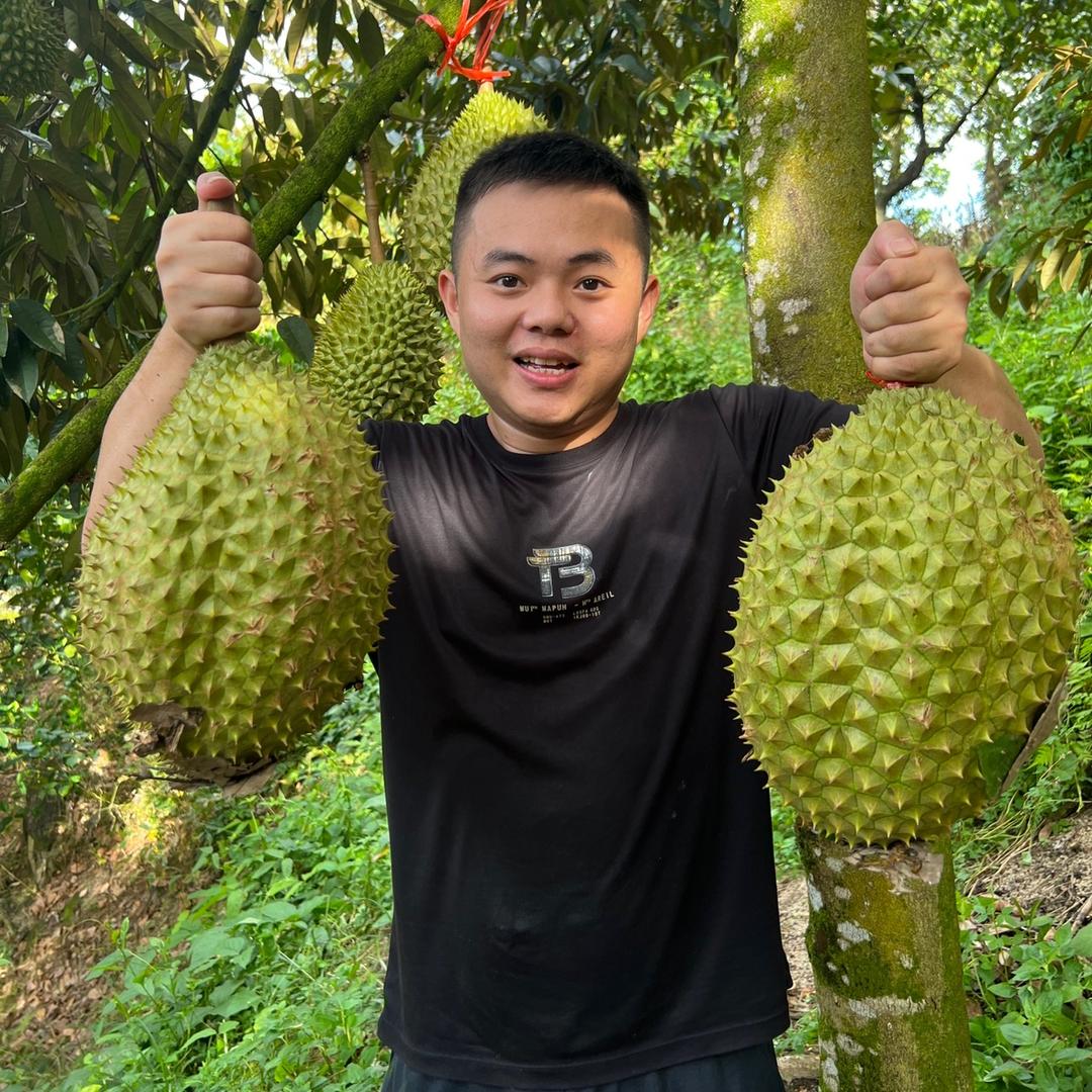 阿林（应季水果）