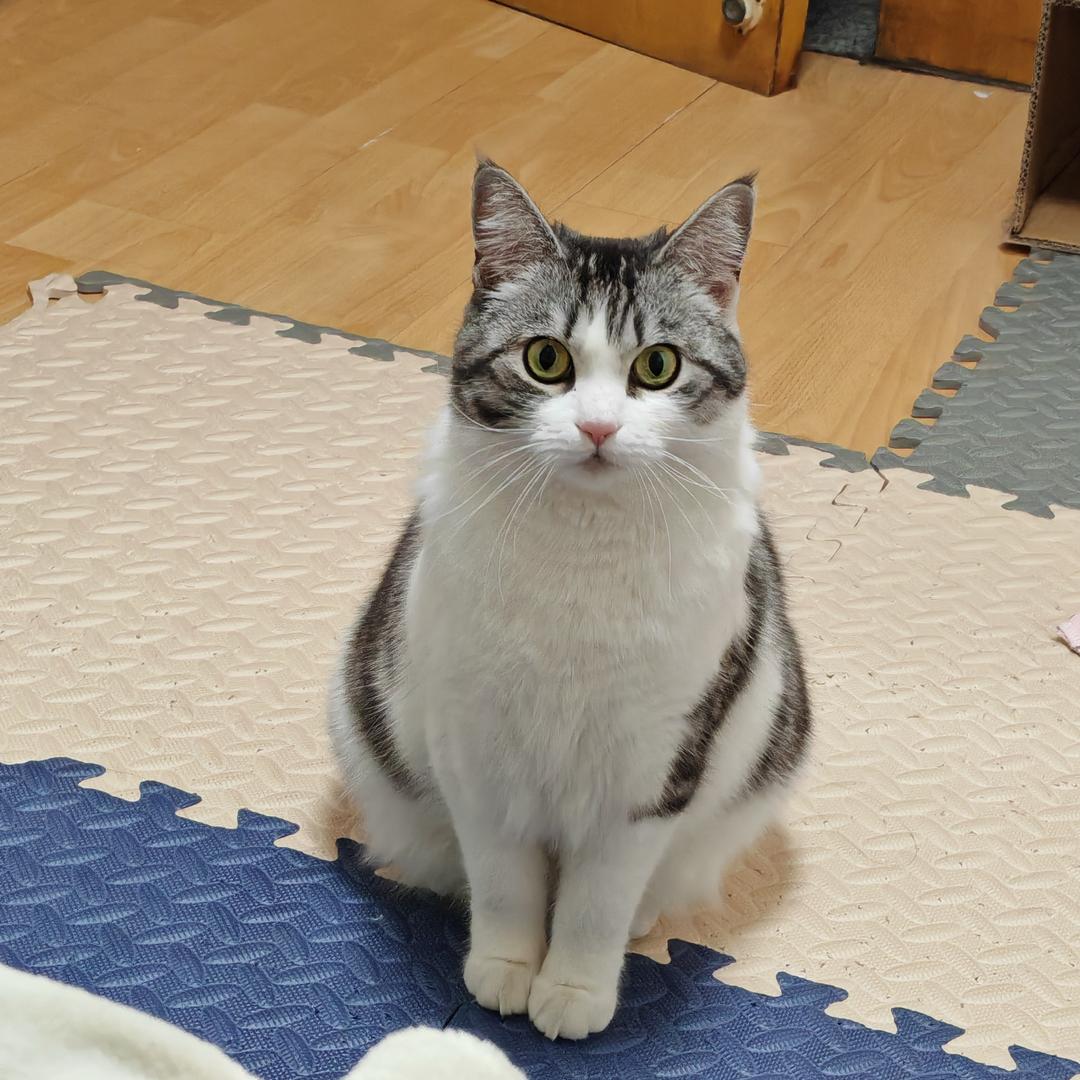 雨夜带刀不带伞