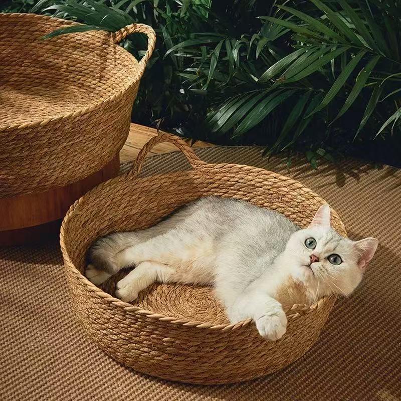 萌萌宠物小客栈