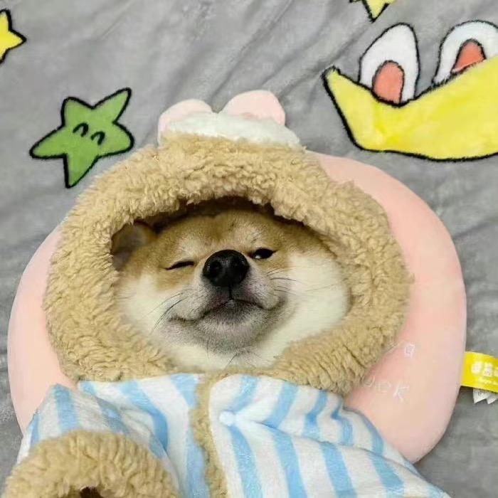一只巧惠