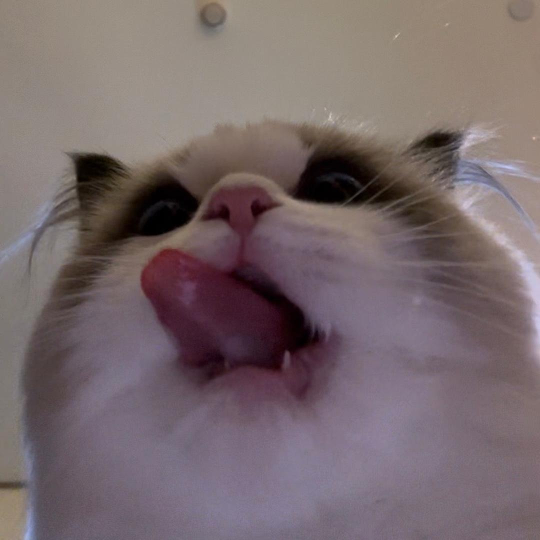 小小臭屁