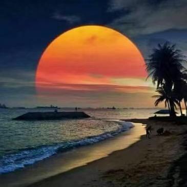 岁月流年