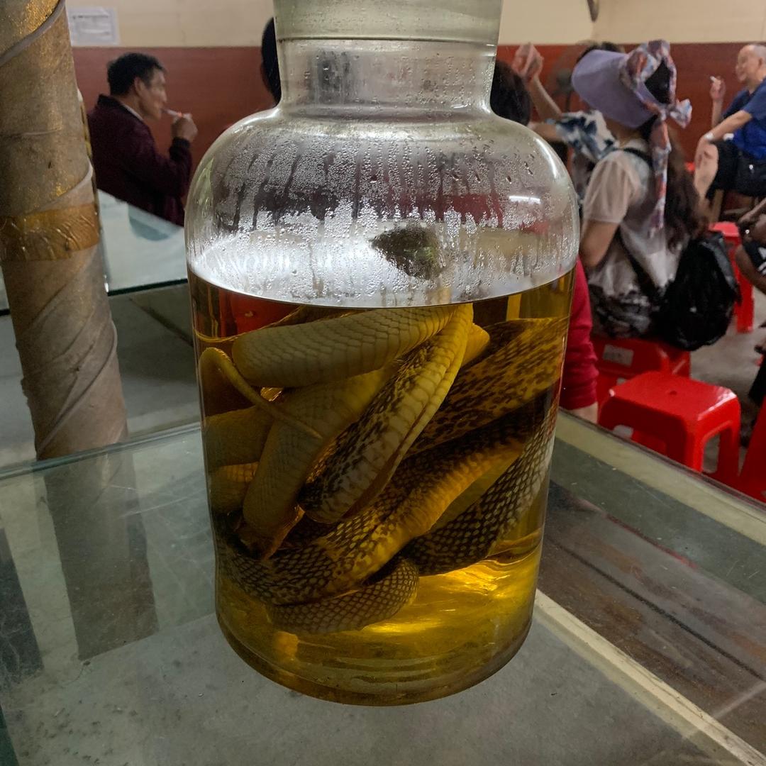 小黎哥哥