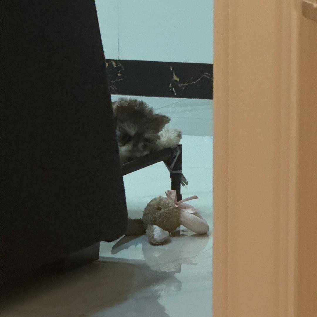 挺无语的