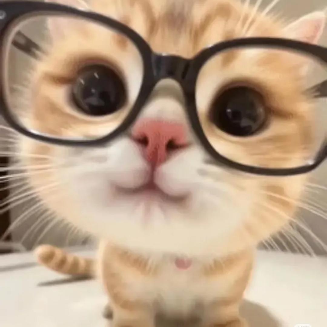 蛋挞猫饼