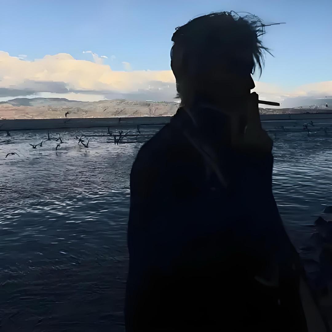85211858837