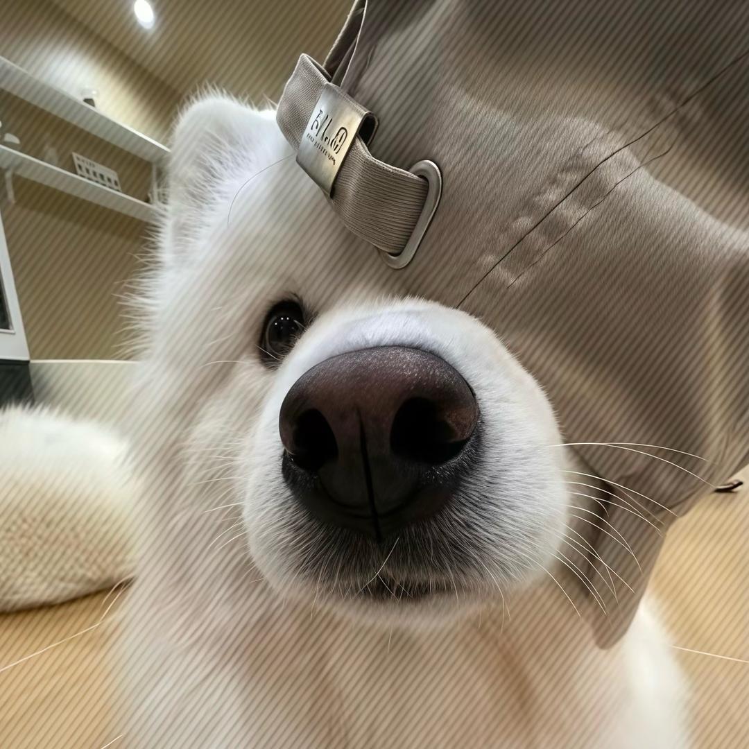 超级无敌大大大大大大大大大大大大大大飞踢