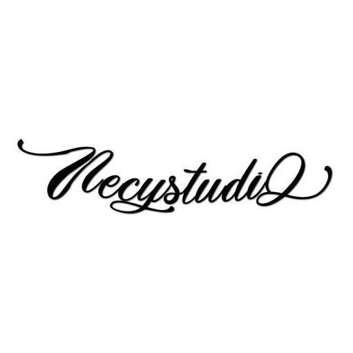 NECY南西女装专卖店