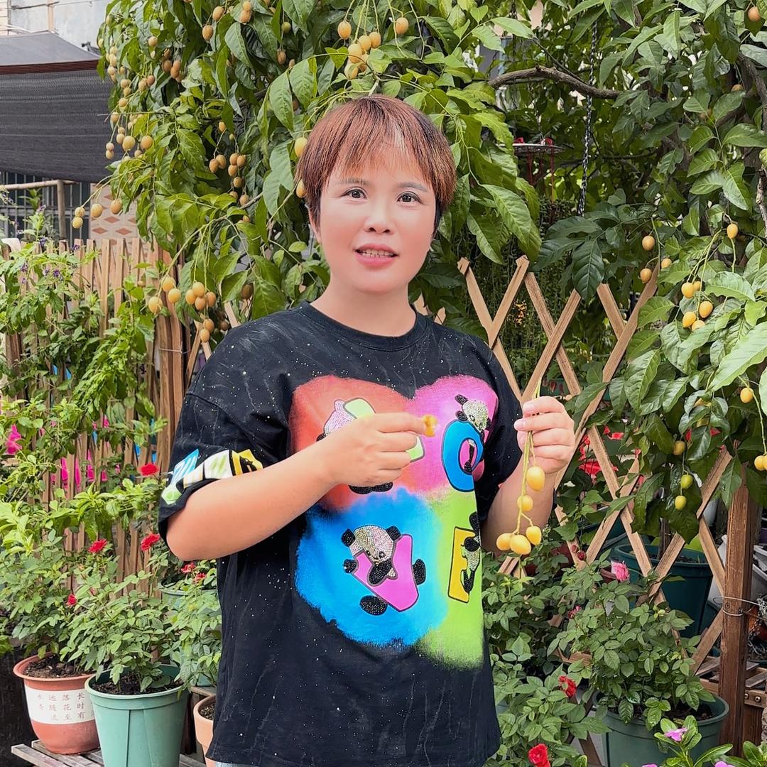 梅姐的忙碌生活