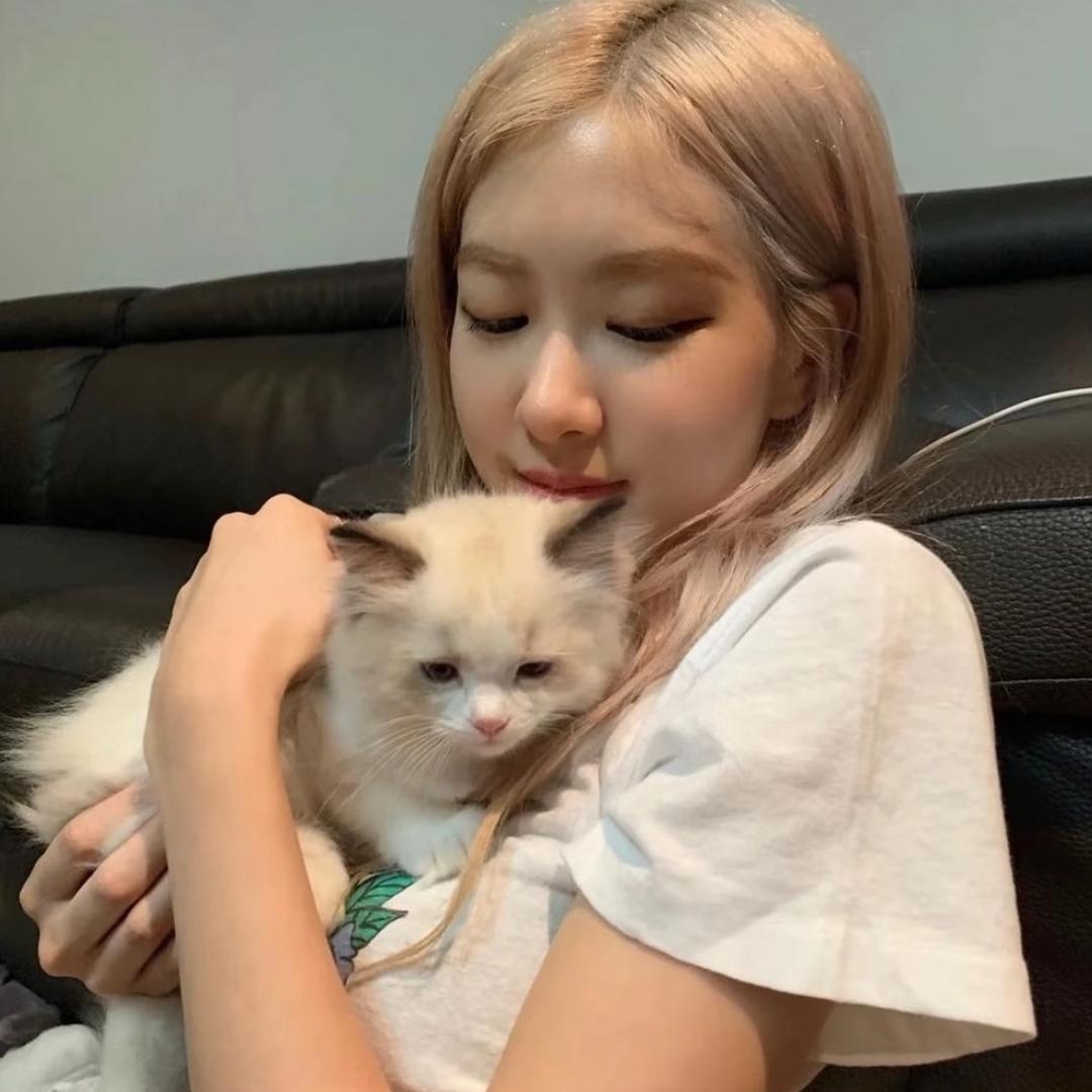睡 觉 觉