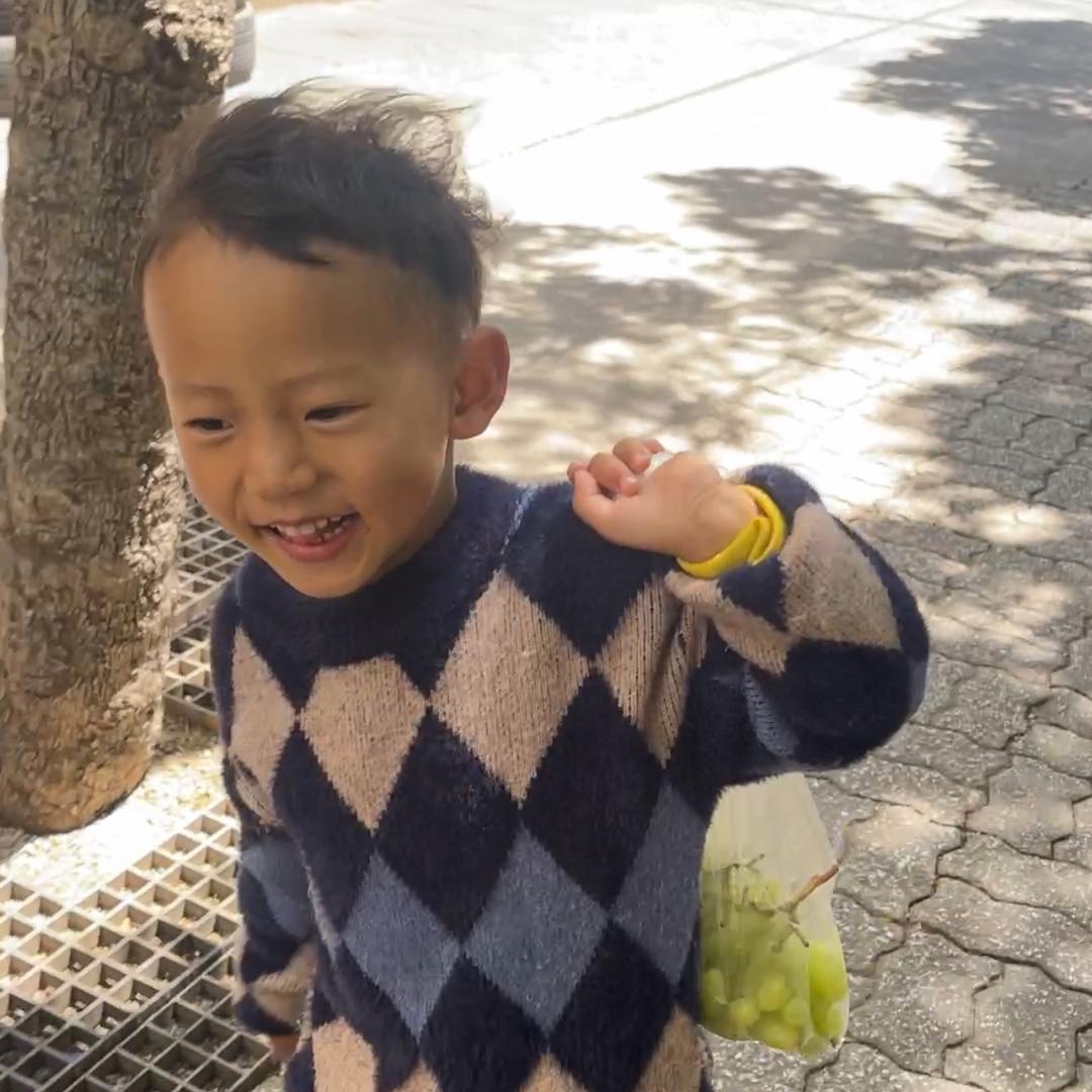 仰望海鸥的小鱼🐟
