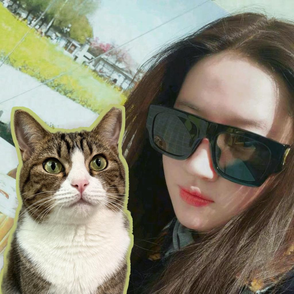 猫猫小咪
