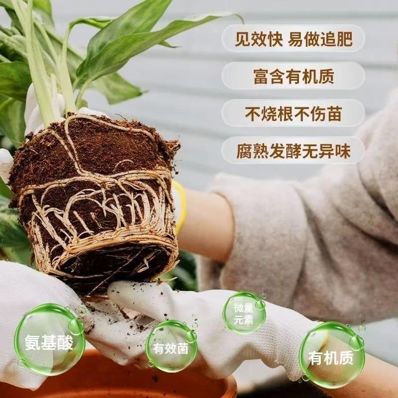 河北农乐汇（唐老大）