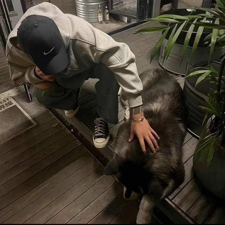 ㅤㅤ   ,