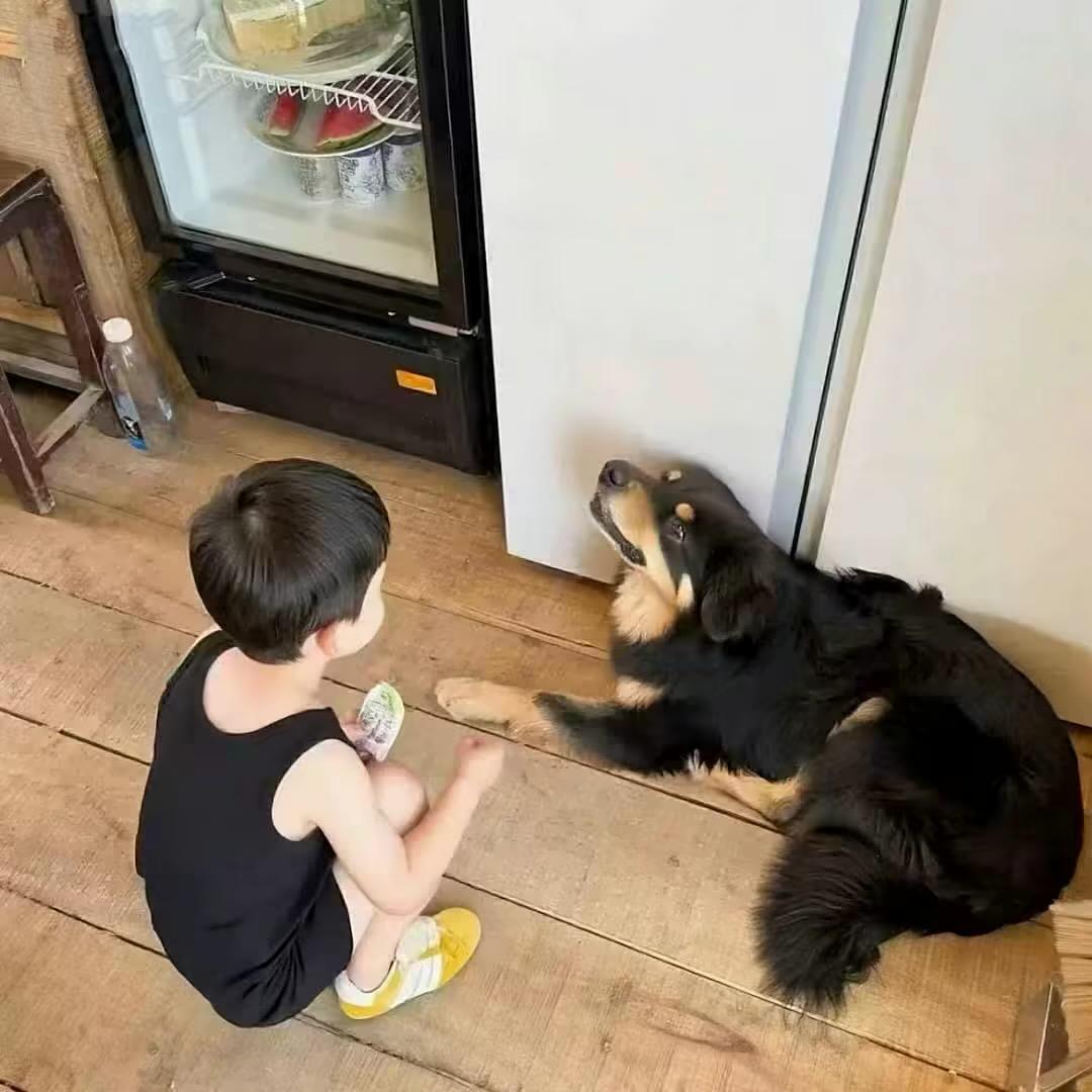 早就不恨你了^