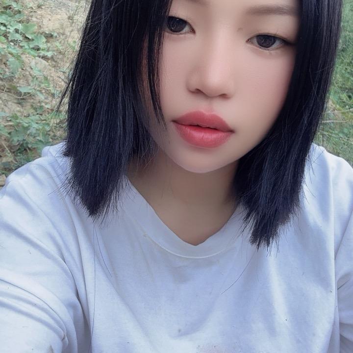 菊宝