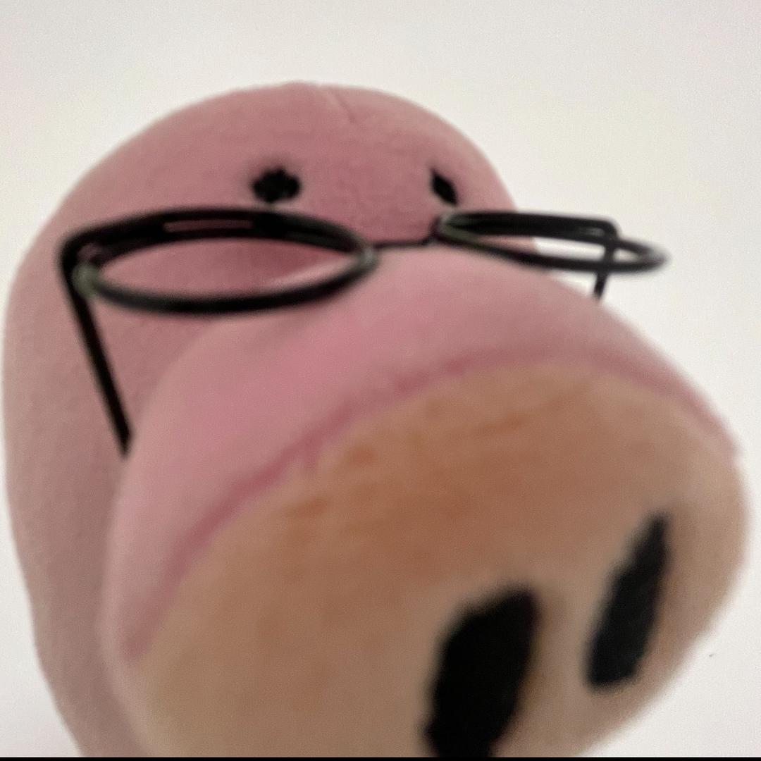 猪脚🐽