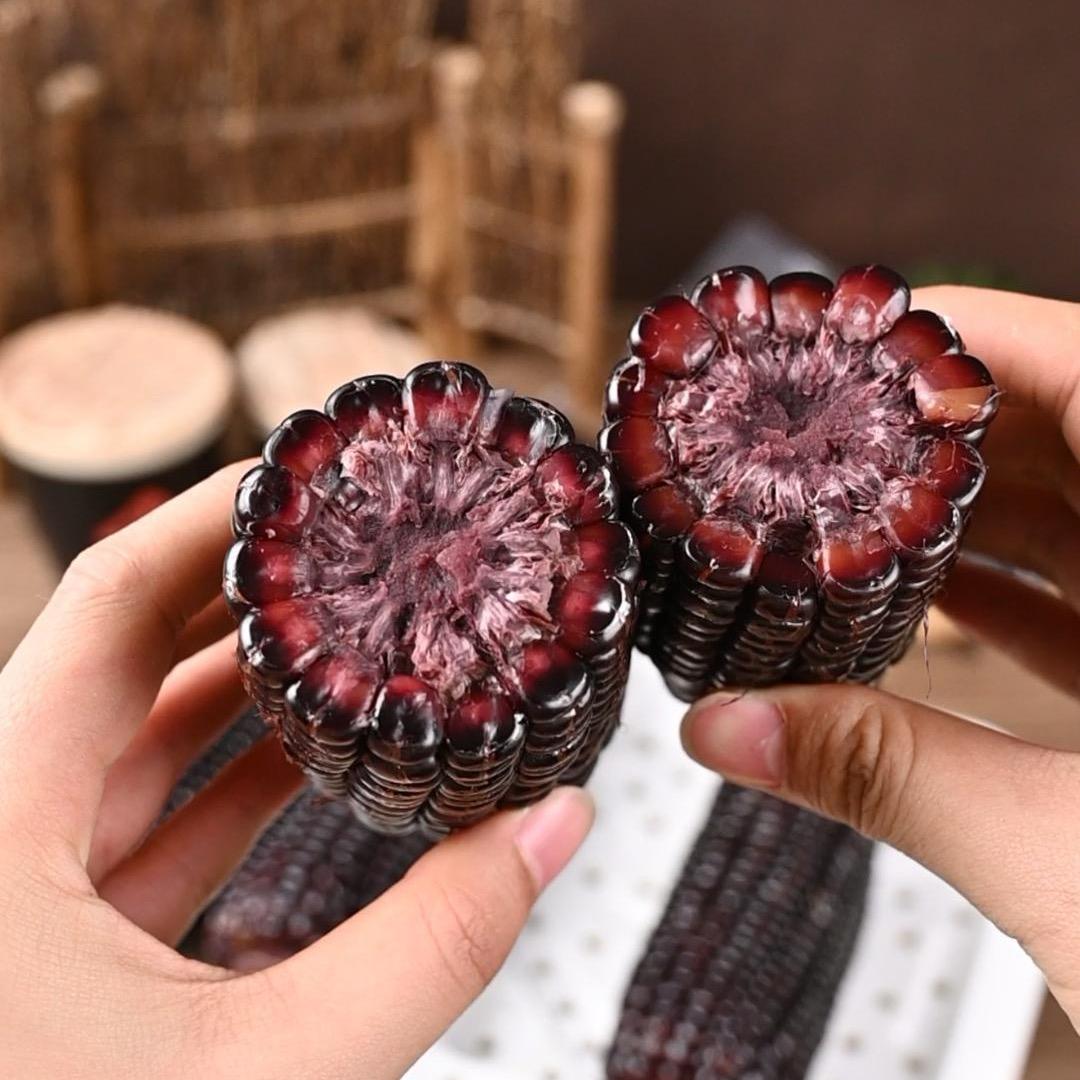 忻州糯玉米甄选