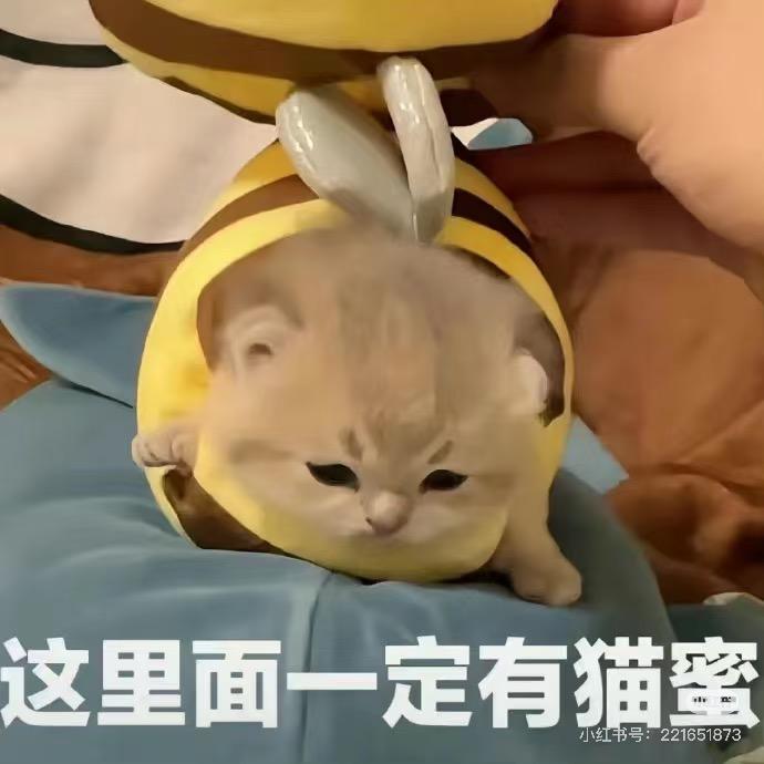 猫密