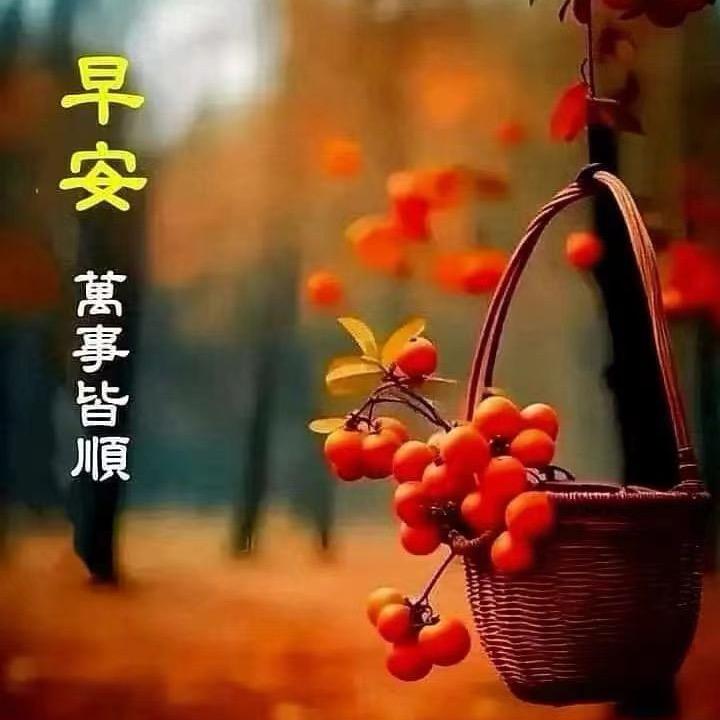 高山上流云