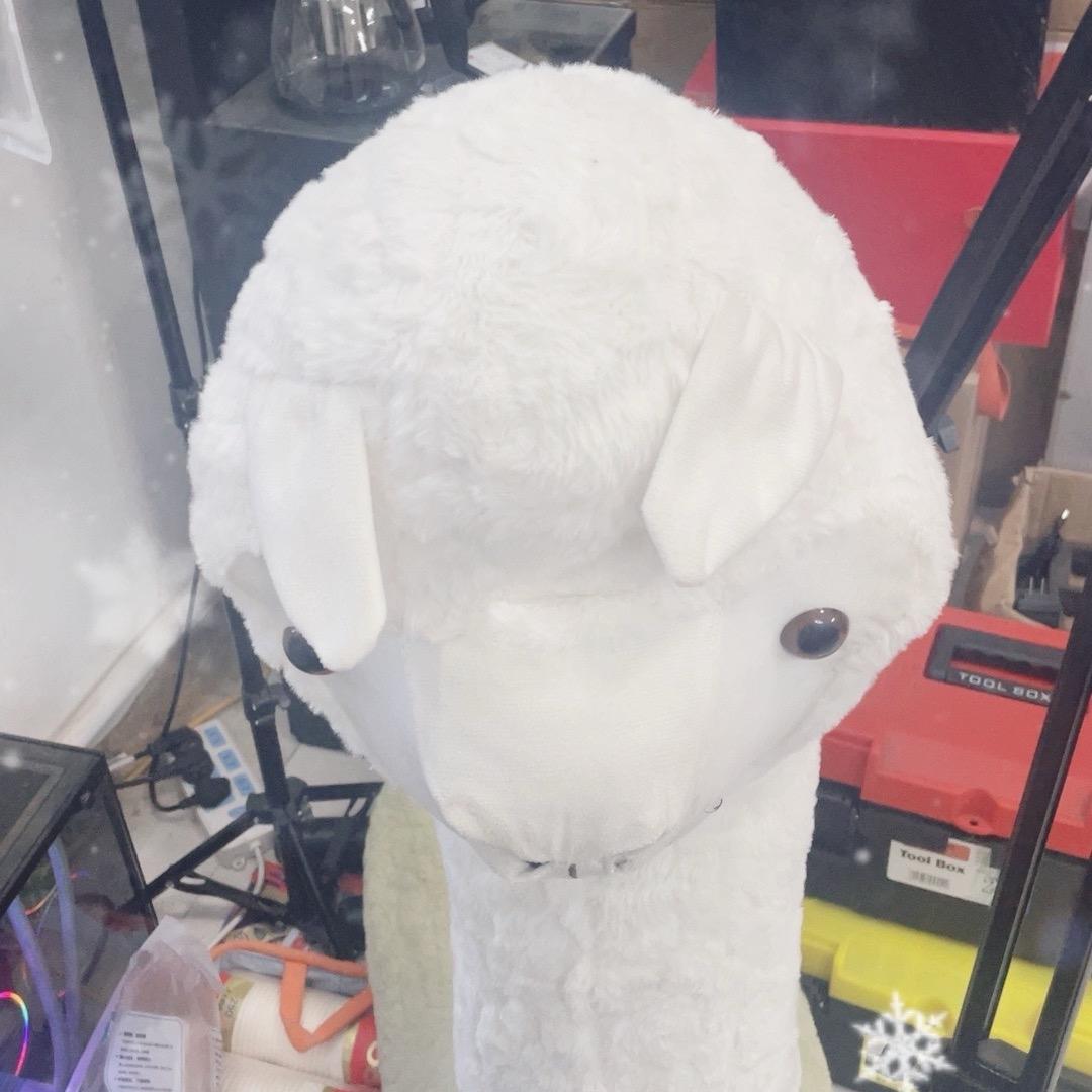 百货供应链49号