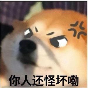 贺小贺