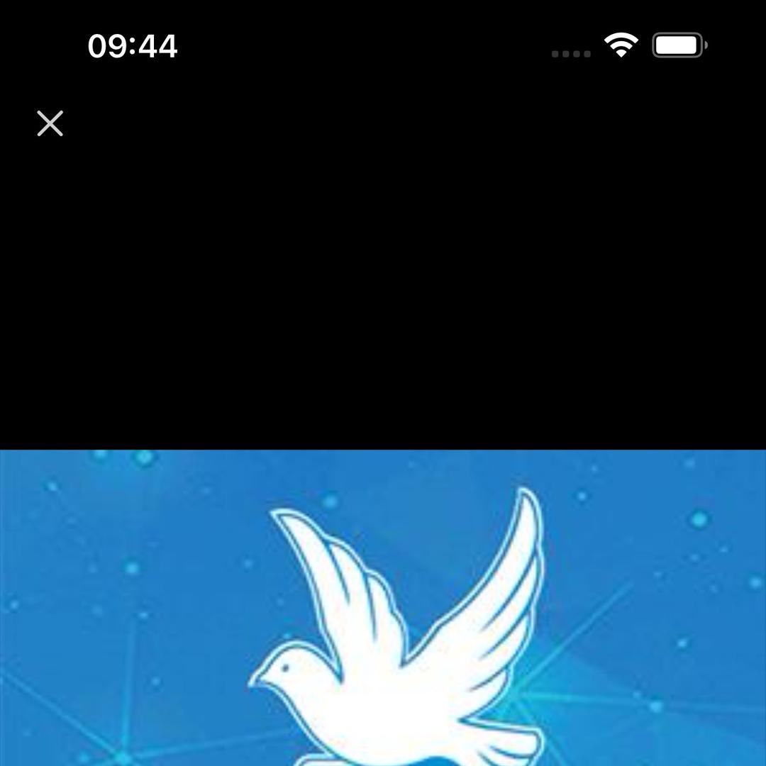 飞鸽天任科技开发公司