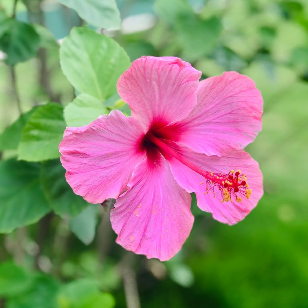 写给你的365封信