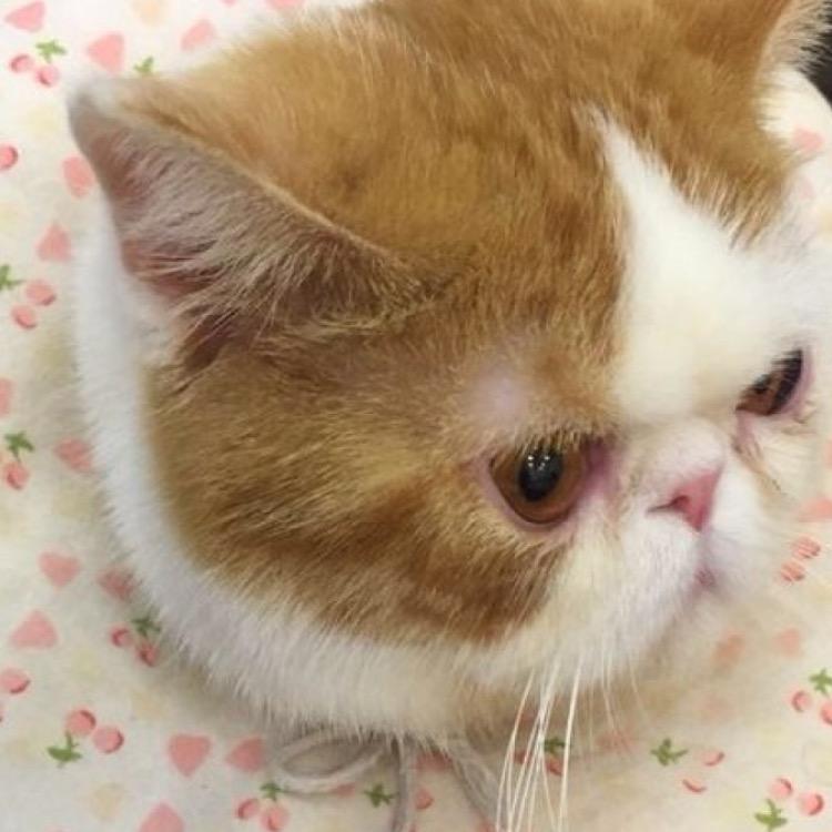 谨慎购买，联网后拒绝退货