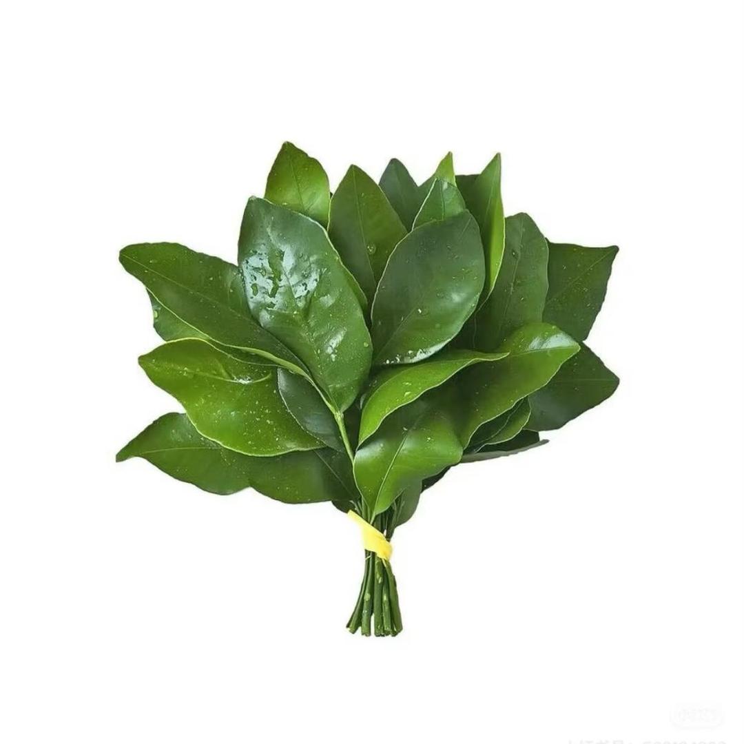 我是思锐.