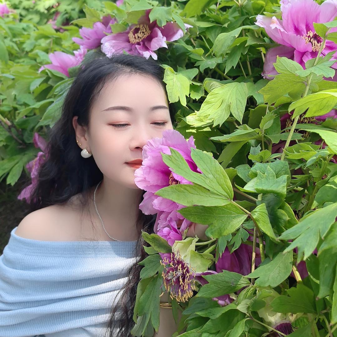 一只懒杨羊羊