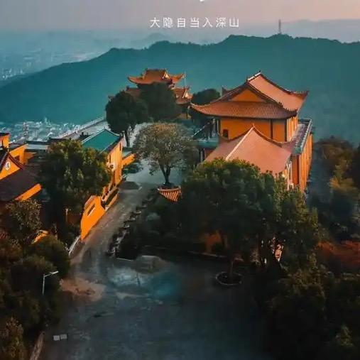 荣辱与共