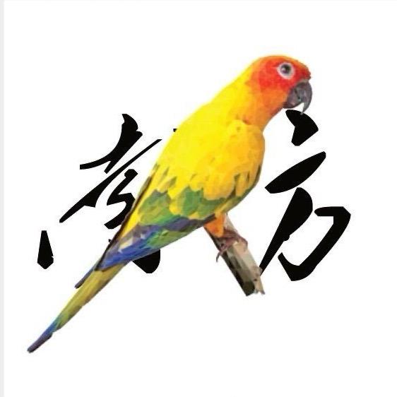 南方鹦鹉-南方萌宠工作室