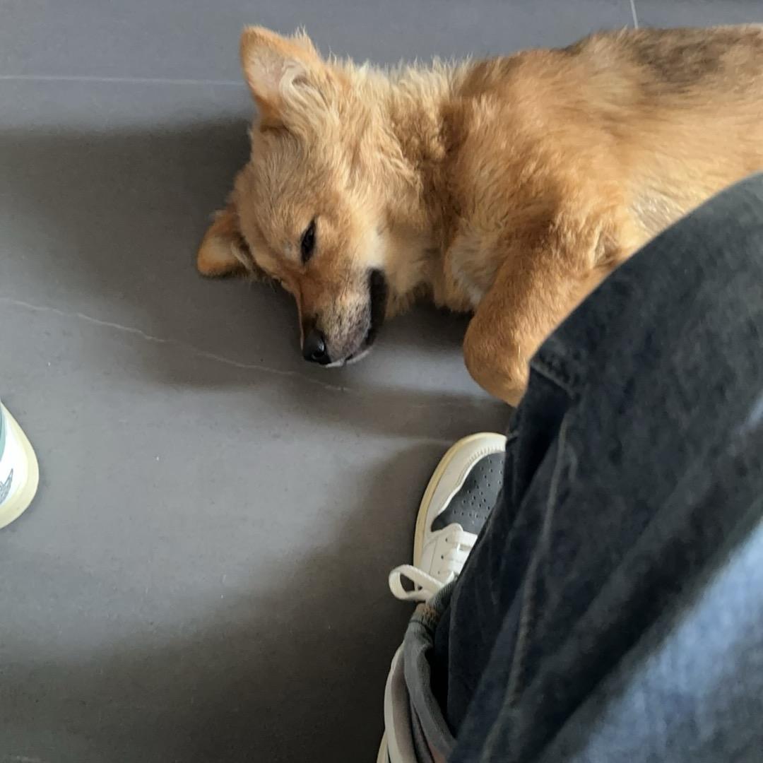 好的