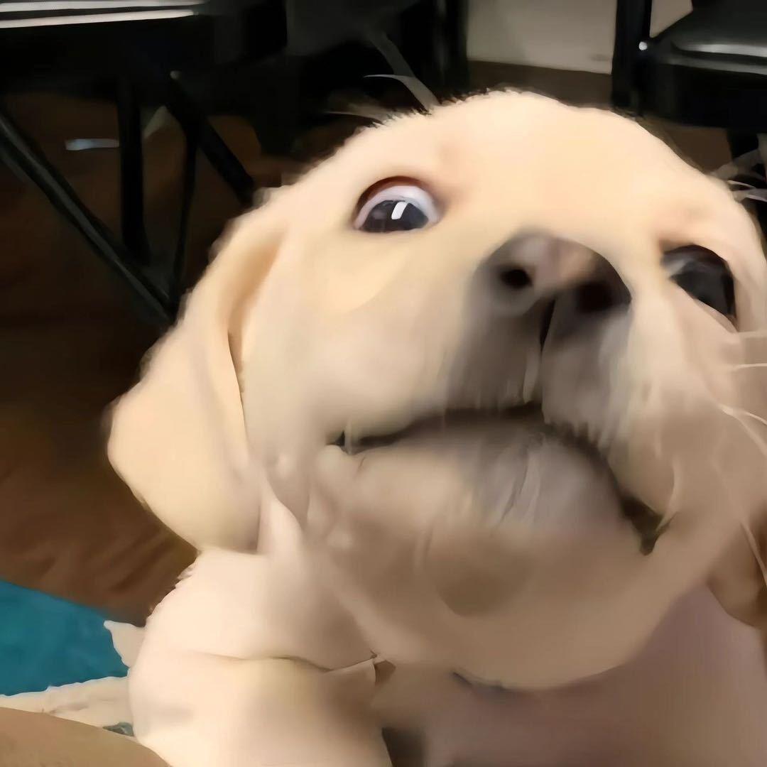 Vayn