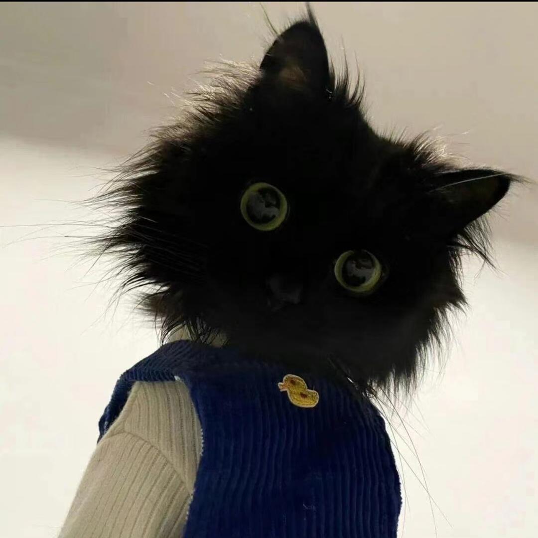 斤斤