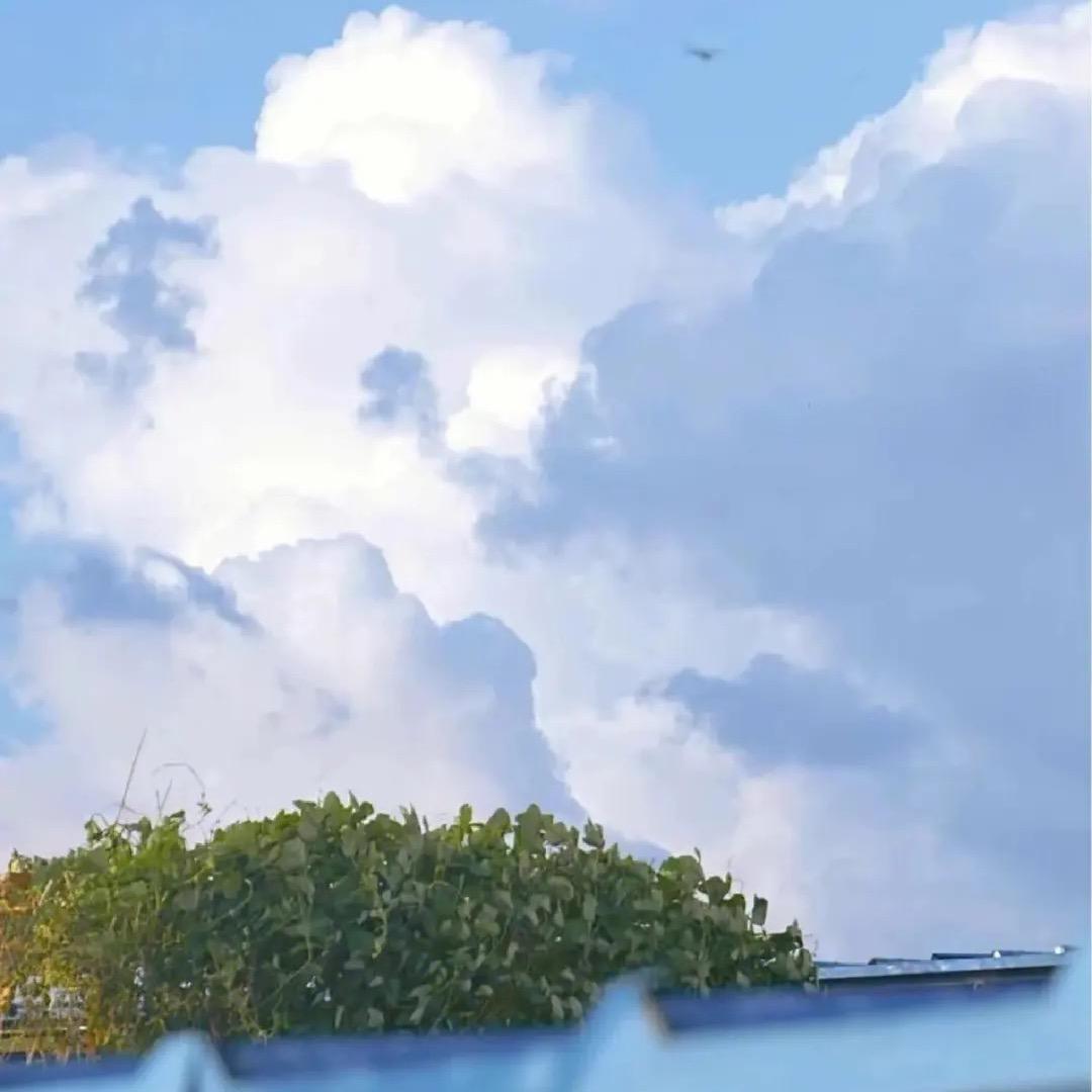闪甜红