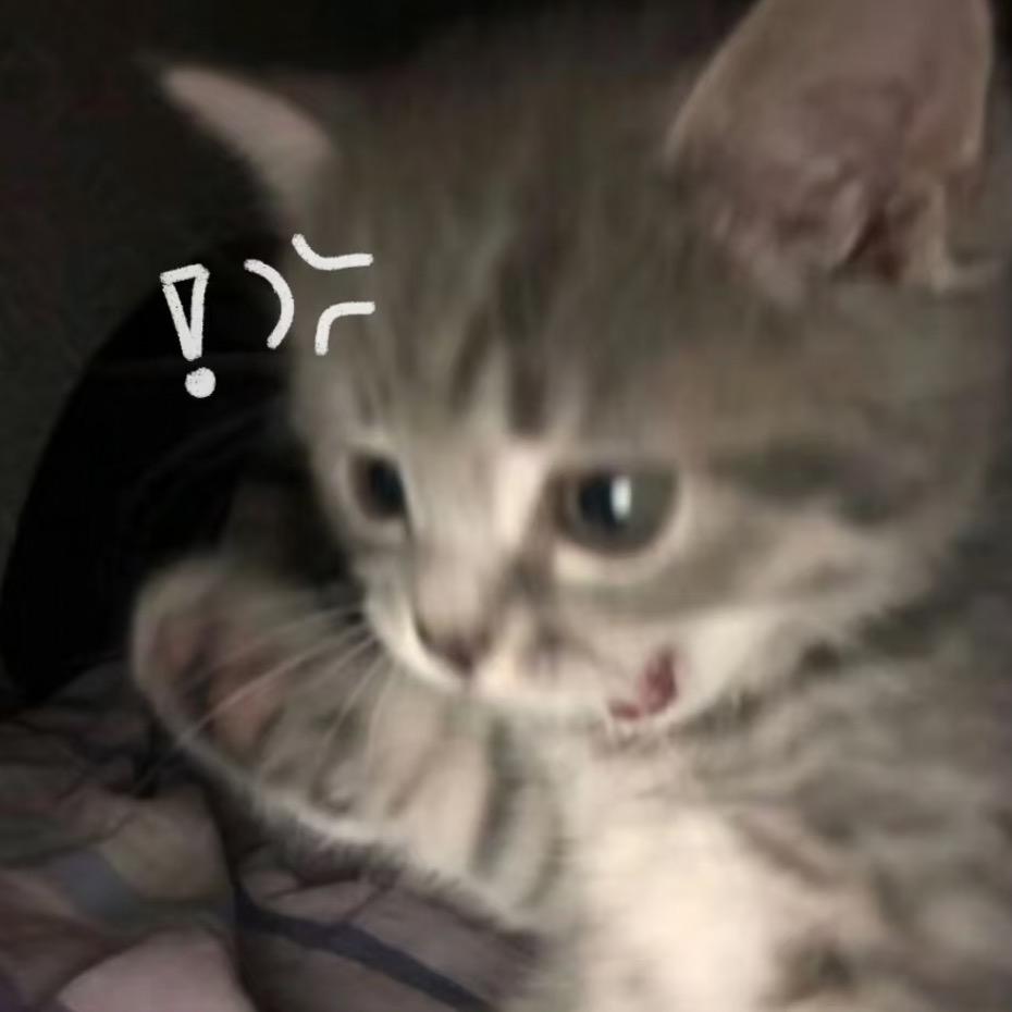 咪桑.