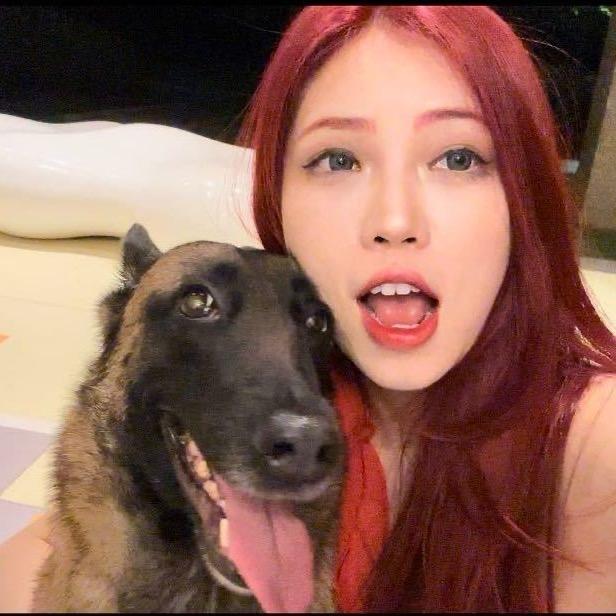 宫廷莫恩🐾